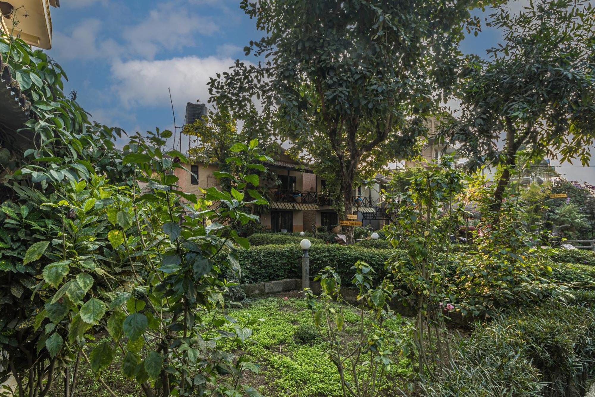 Hotel Riverside With Swimming Pool Sauraha Exterior foto